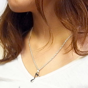 fn-ncp211-chain